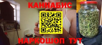 индика Пенза