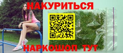 индика Пенза