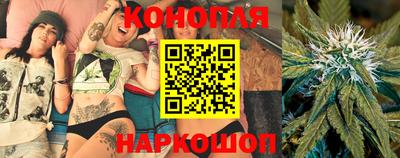 индика Пенза