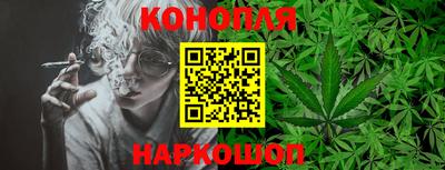 индика Пенза