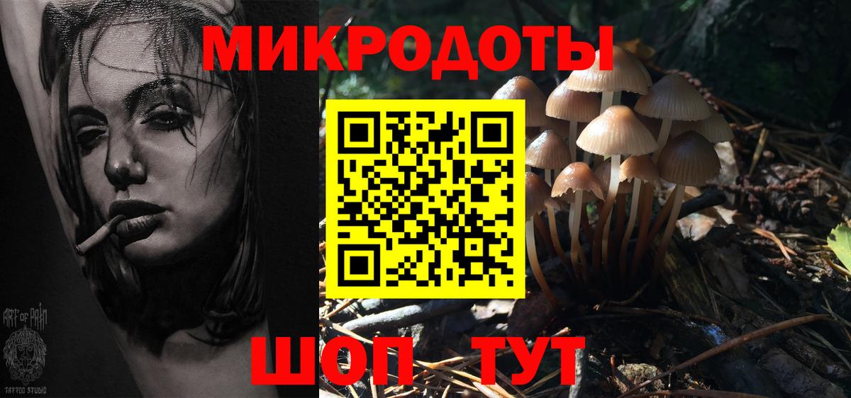 Галлюциногенные грибы мухоморы Кыштым