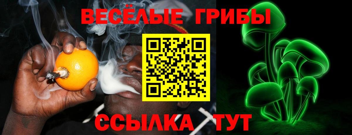 цена   Вход с VPN  Кыштым  Галлюциногенные грибы мухоморы 